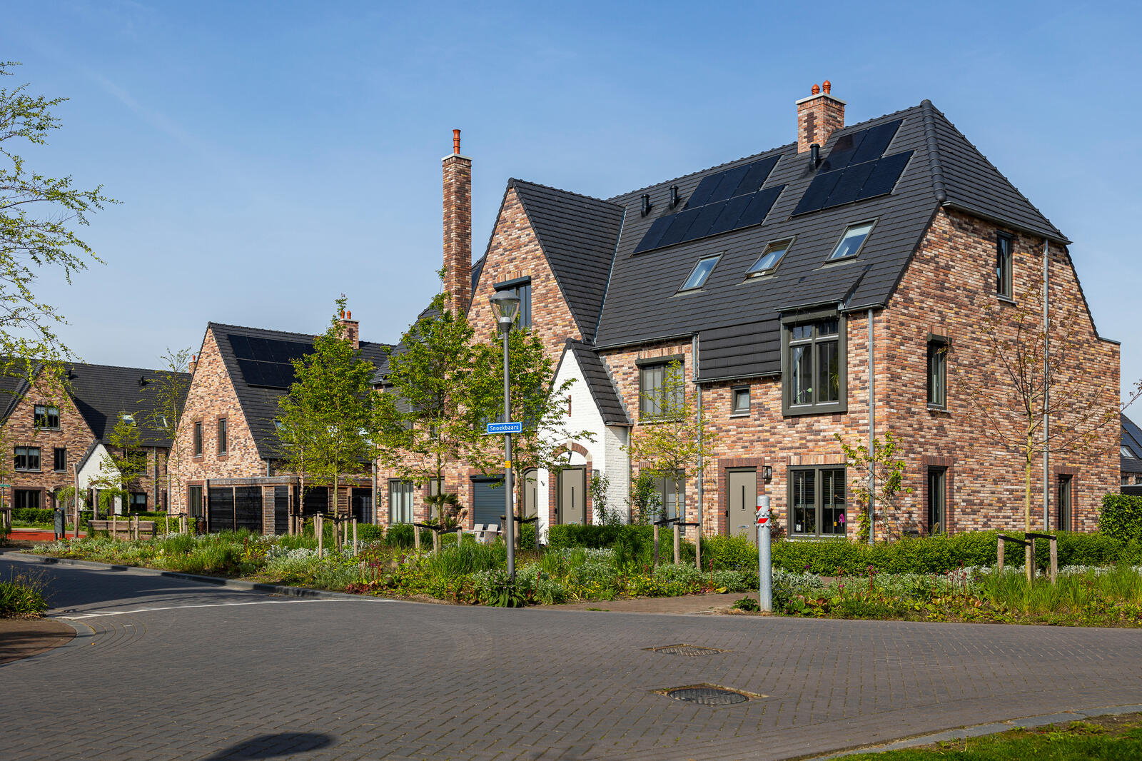 Lente Triangel Parkrijk