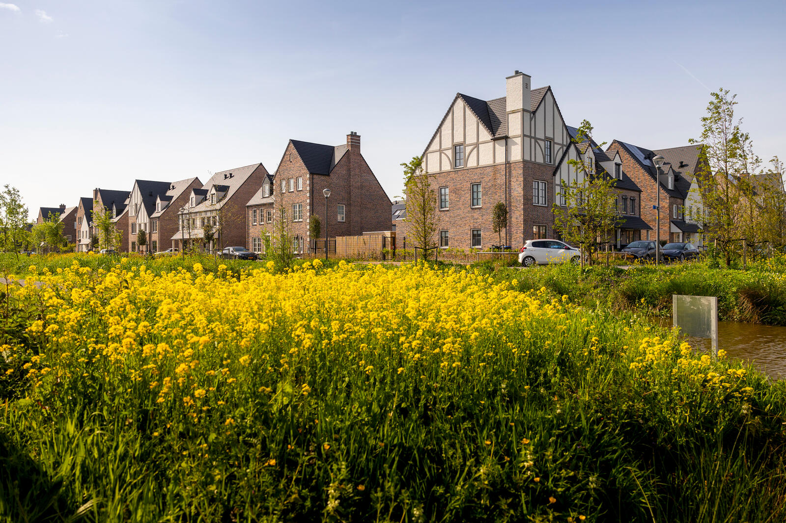 Lente Triangel Parkrijk