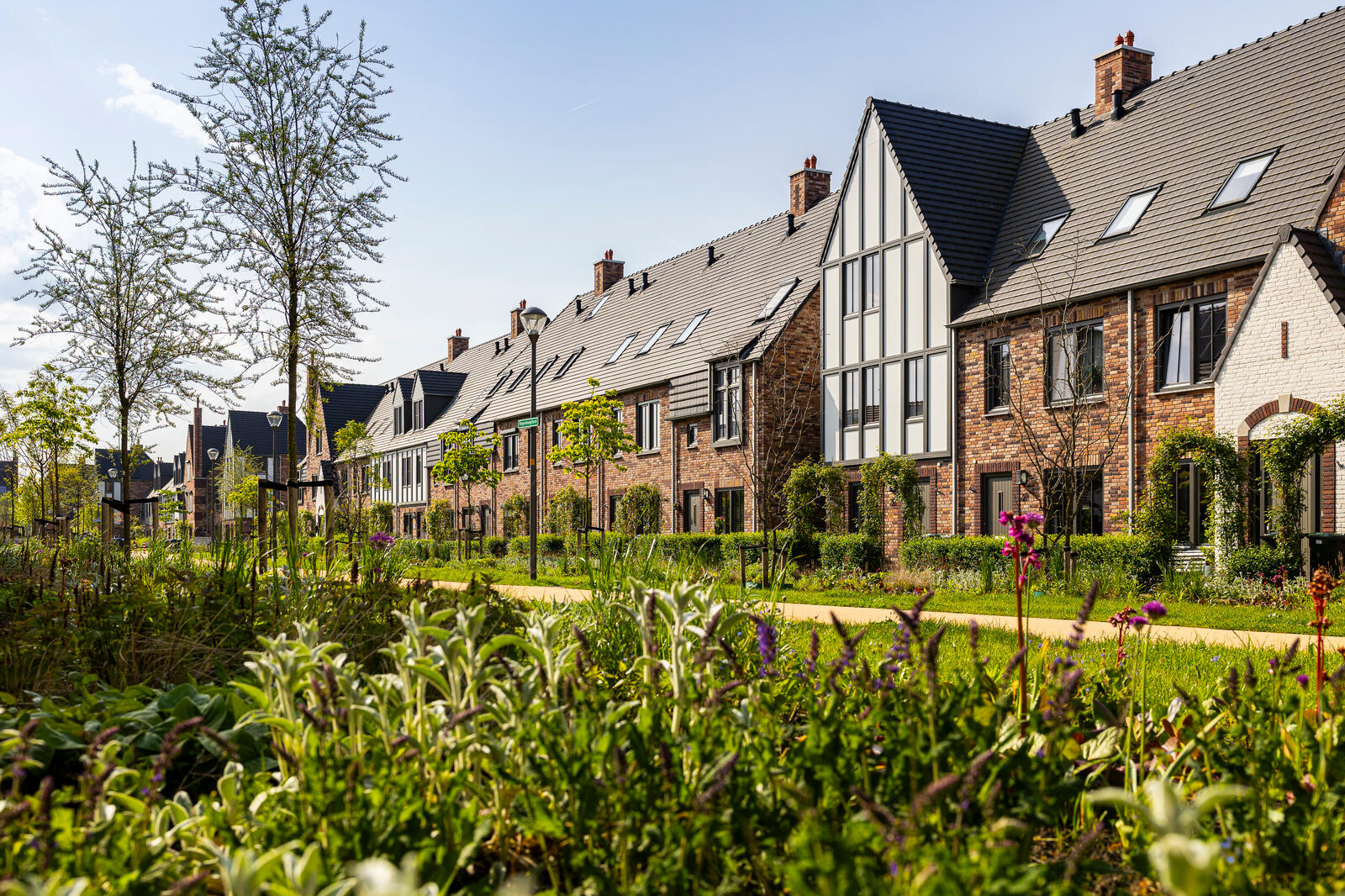 Lente Triangel Parkrijk