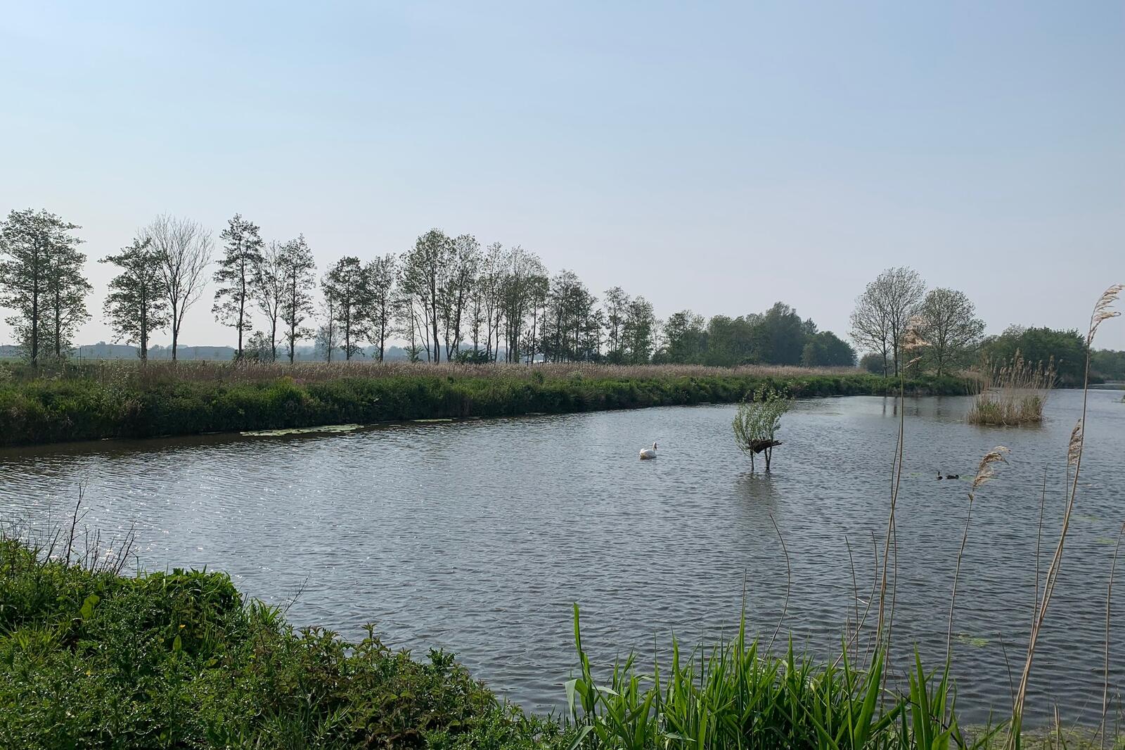 Waterrijk gebied 