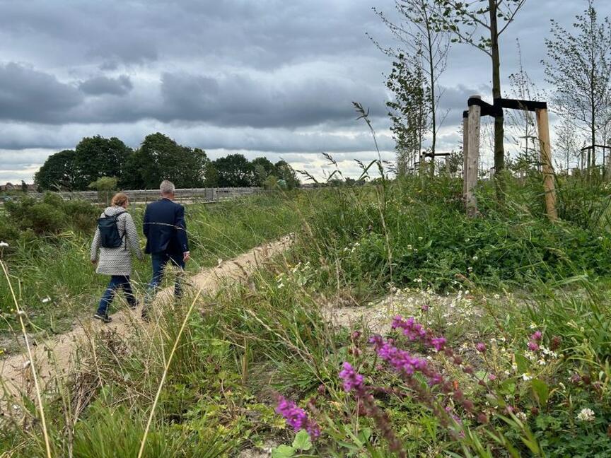 Wandelen in de Vredenburghzone